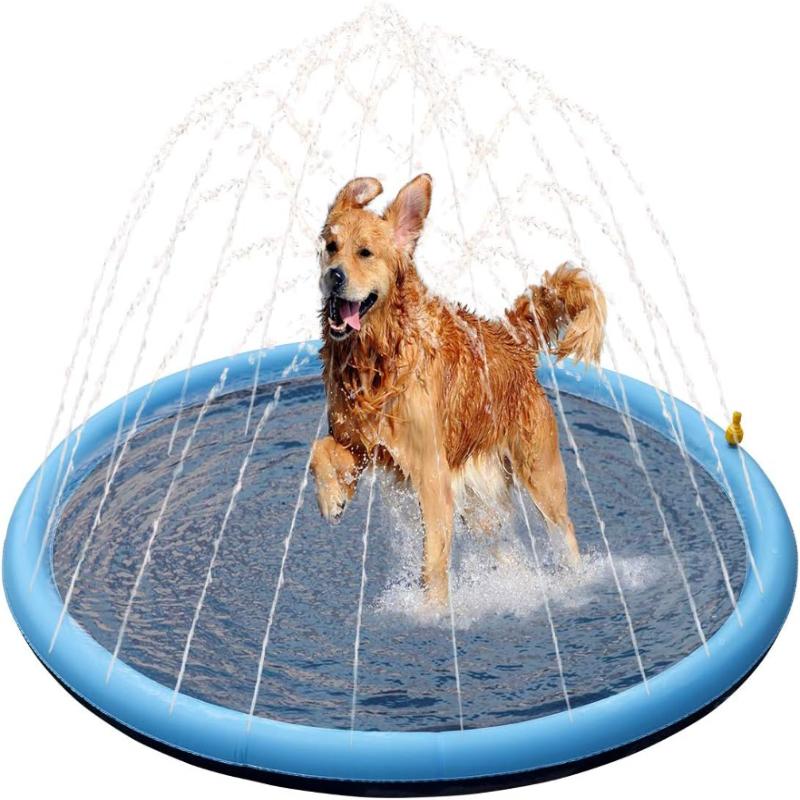 Happy golden retriever splashing in a cooling sprinkler pad on a hot summer day. Perfect for outdoor fun!