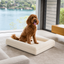 Orthopedic dog bed