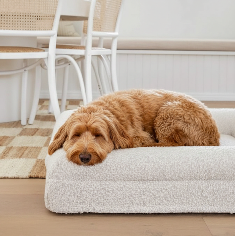 Stylish dog bed boucle