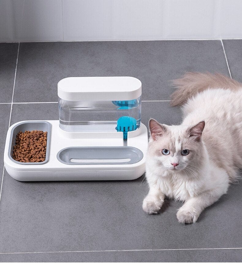 Automatic Feeder & Water Dispenser