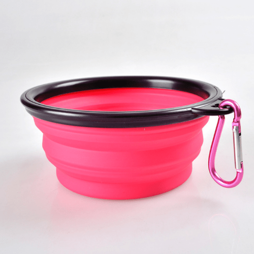 Collapsible Travel Pet Bowl - Buddies Pet Shop