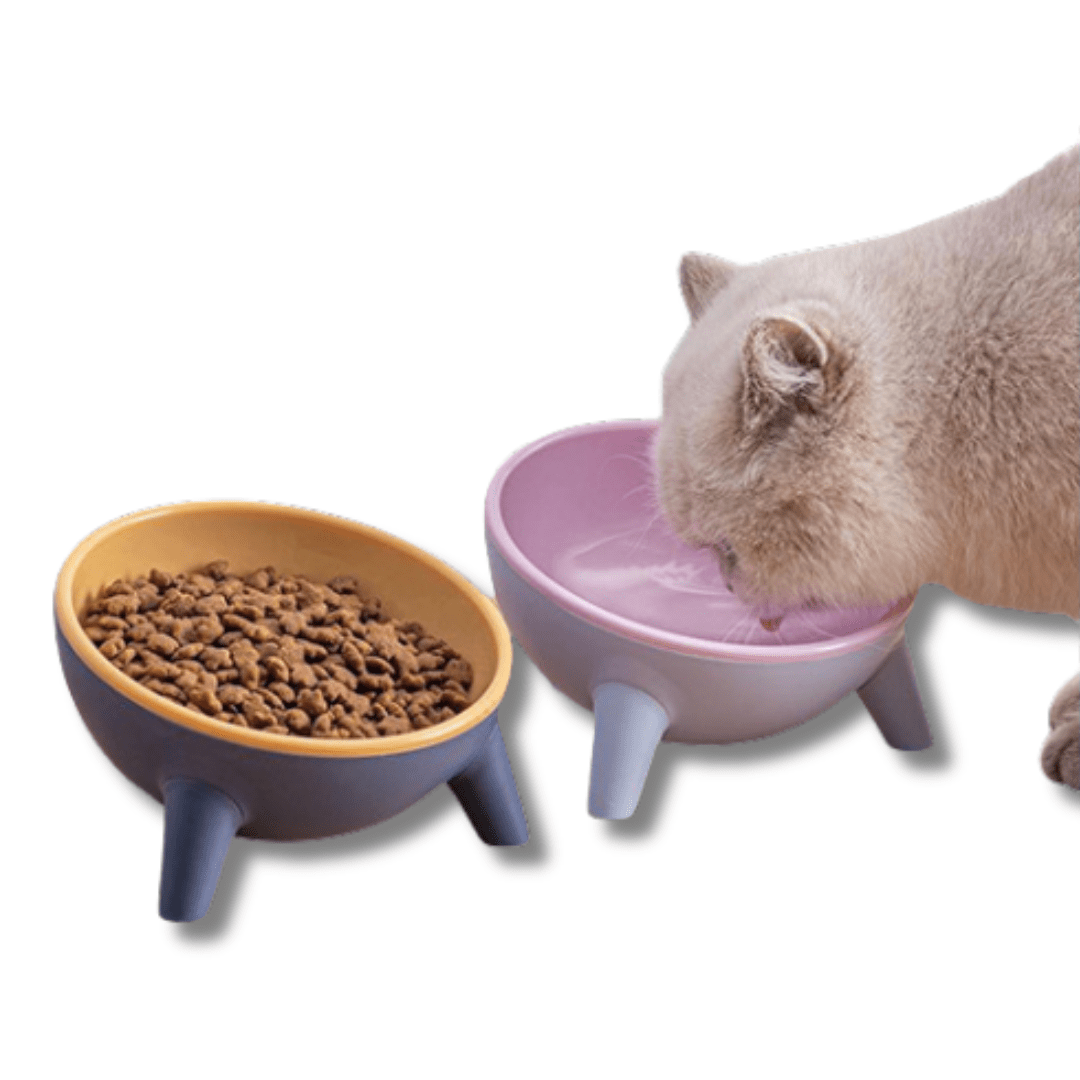 Raised Tilted Pet Bowls