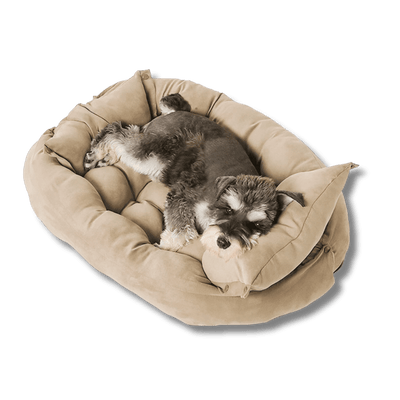 3-in-1 Luxury Sofa Dog Bed