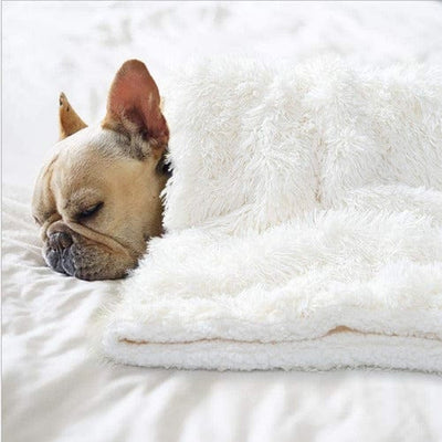 Calming Snuggle Blanket - Buddies Pet Shop