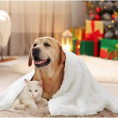 Calming Snuggle Blanket - Buddies Pet Shop