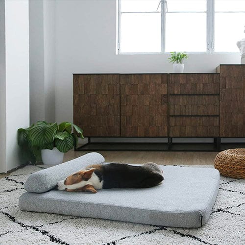 Deep Sleep Orthopaedic Dog Bed - Buddies Pet Shop