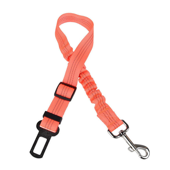 Click Clack Car Leash - Buddies Pet Shop