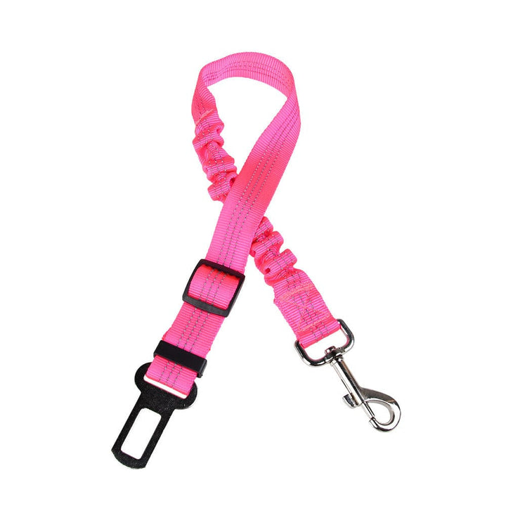 Click Clack Car Leash - Buddies Pet Shop
