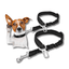 dog car leash