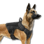 tactical dog harness
