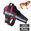 Personalised No Pull Dog Harness - Buddies Pet Shop