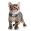 Personalized Engraved Cat Collars - Buddies Pet Shop