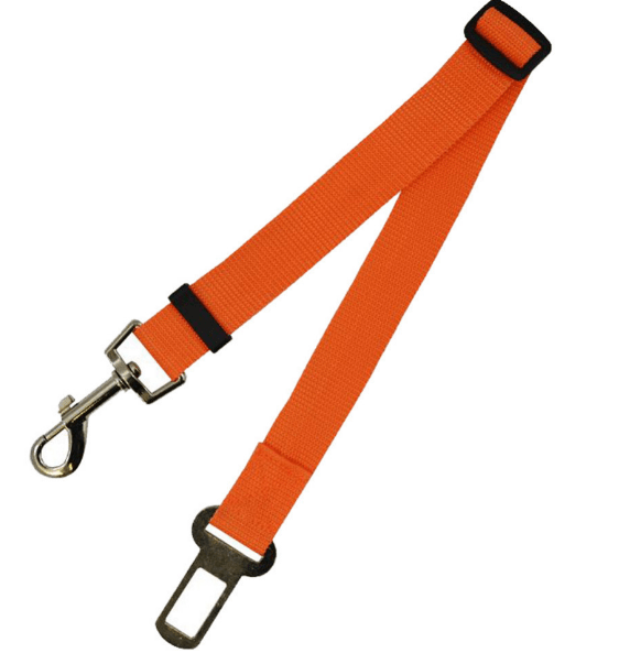 Seat Belt Safety Leash