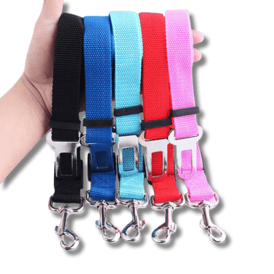 Seat Belt Safety Leash