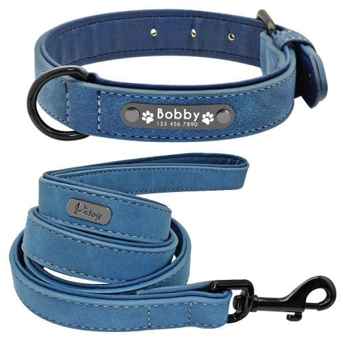 Stylish Custom Collar and Leash Set - Buddies Pet Shop