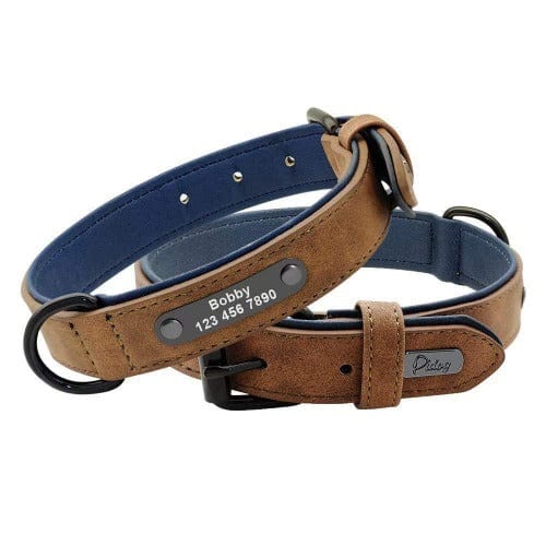 Stylish Custom Collar and Leash Set - Buddies Pet Shop