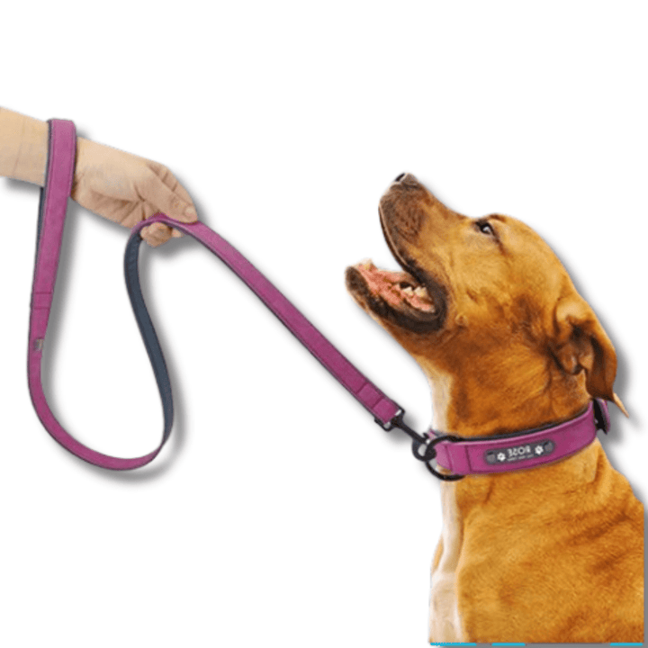 Stylish Custom Collar and Leash Set