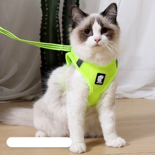 Ultimate Comfort Cat Harness