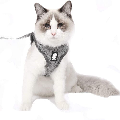 Ultimate Comfort Cat Harness