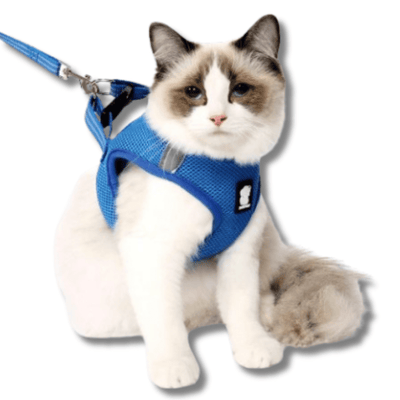 Ultimate Comfort Cat Harness