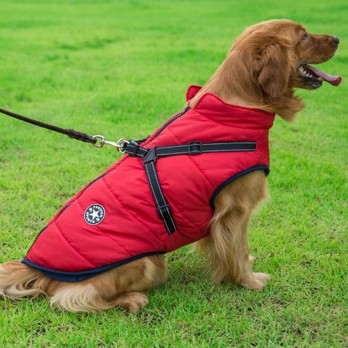 Waterproof Dog Jacket With Harness - Buddies Pet Shop