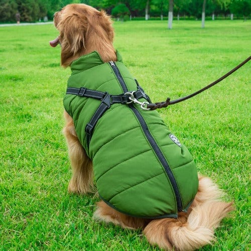 Waterproof Dog Jacket With Harness - Buddies Pet Shop