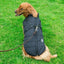 Waterproof Dog Jacket With Harness - Buddies Pet Shop