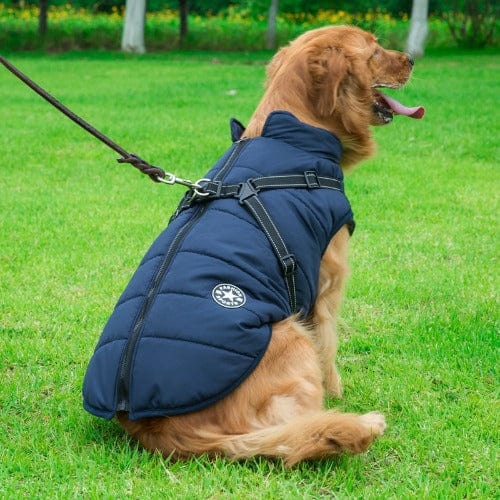 Waterproof Dog Jacket With Harness - Buddies Pet Shop