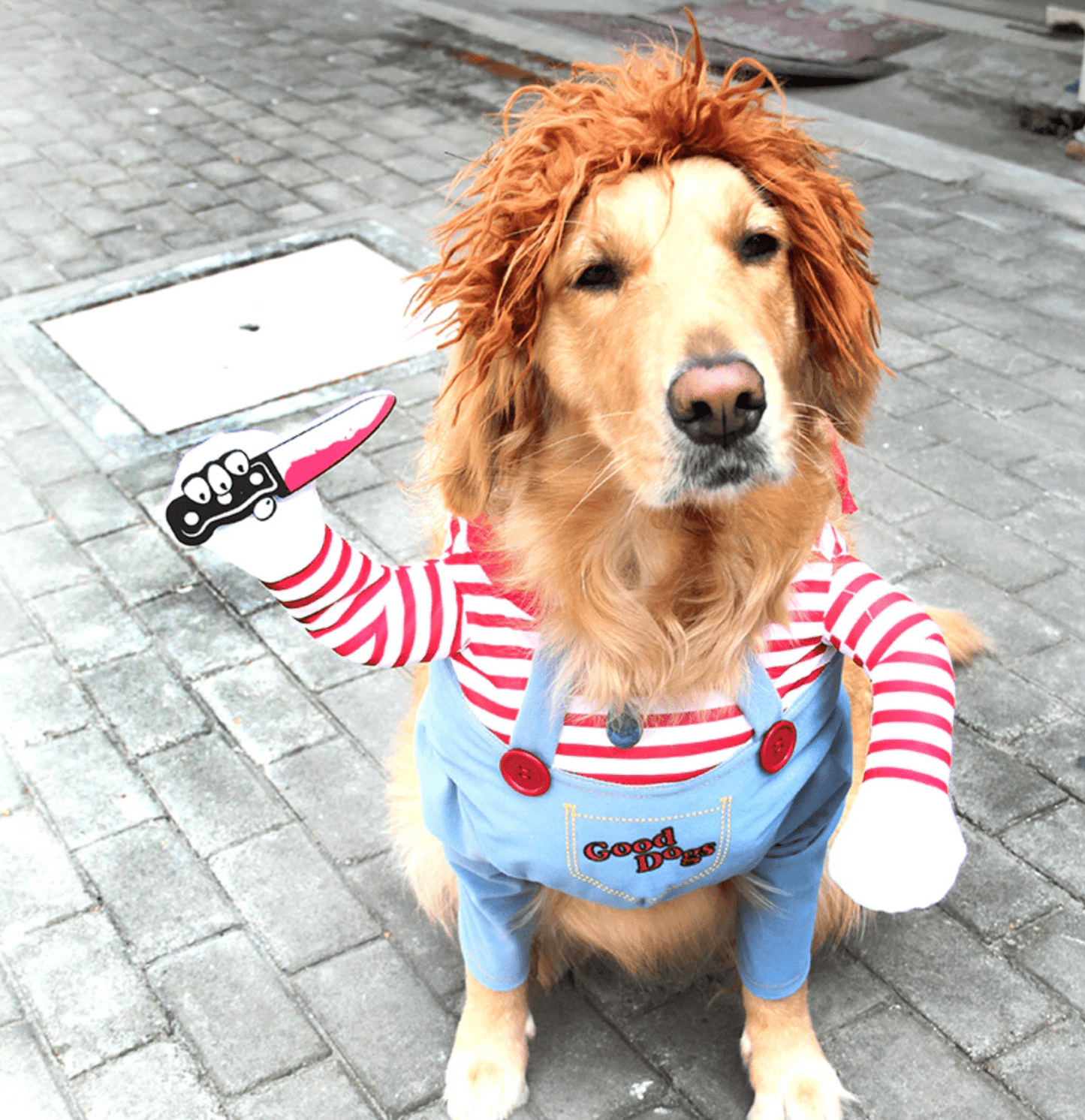 Childs Play - Buddies Pet Shop