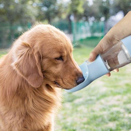 Portable Multifunction Pet Water Bottle - Buddies Pet Shop
